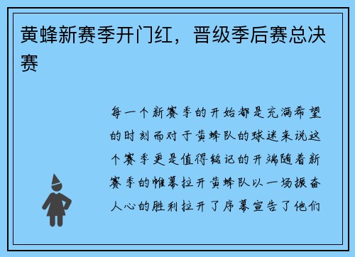 黄蜂新赛季开门红，晋级季后赛总决赛